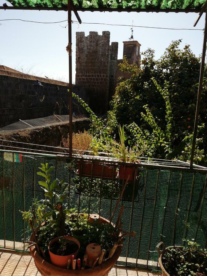 Апартаменты Relax Dal Caos Di Citta Barbarano Romano Экстерьер фото